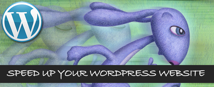 learn how to speed up your wordpress website